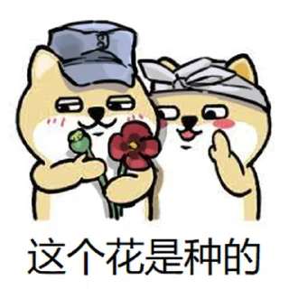 🌺 emoji 你来 Telegram sticker 5 of 22