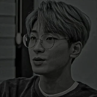 Sticker from WONWOO 17 – @fvkshitdaddy