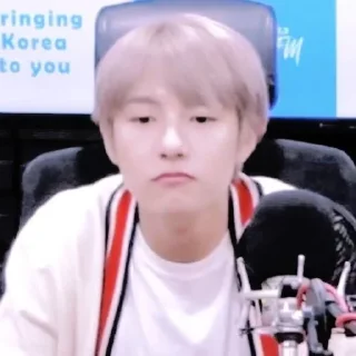 🦊 emoji ◜huang renjun ! ─ @petualangcilik Telegram sticker 10 of 22