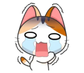 🐈 emoji cheerful kitten w/@sugarcunt Telegram sticker 14 of 120
