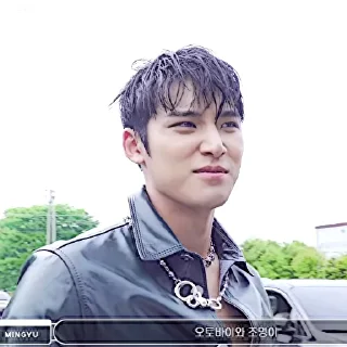 🧨 emoji Mingyu W Korea Photo Shoot BEHIND @stikersvt Telegram sticker 24 of 37