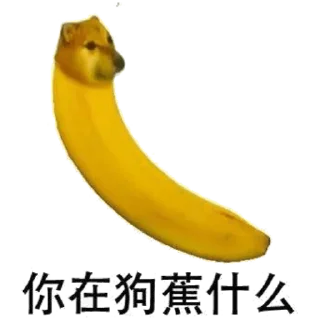 🐶 emoji 世界杯55%返佣⚽️ @zongjian Telegram sticker 9 of 120