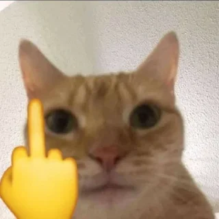 🐱 emoji sin Telegram sticker 22 of 58