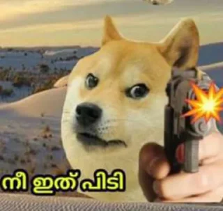🔫 emoji doge malayalam Telegram sticker 23 of 120