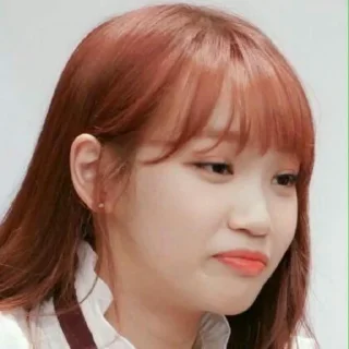 🥱 emoji izone reaction @WOODZSTCAN Telegram sticker 9 of 35