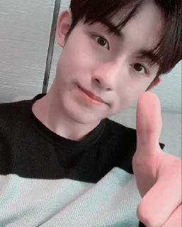 🌱 emoji Winwin @stickernct Telegram sticker 20 of 30