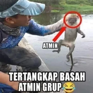 😁 emoji stiker admin LT Telegram sticker 15 of 49