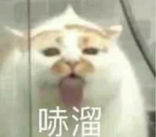 👀 emoji 西瓜的表情包 Telegram sticker 14 of 34
