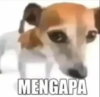 😁 emoji Apa coba Telegram sticker 20 of 34