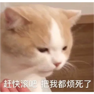 🐱 emoji 世界杯55%返佣⚽️ @zongjian Telegram sticker 21 of 85