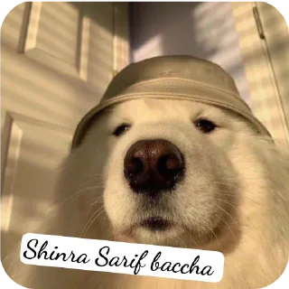 🐶 emoji 𓆩〭〬 𝐒 𝐇 𝐈 𝐍 𝐑‌⃪𝐀 ◉ sᴡᴏʀᴅ ᵀᴹ 𓆪's Telegram sticker 7 of 38
