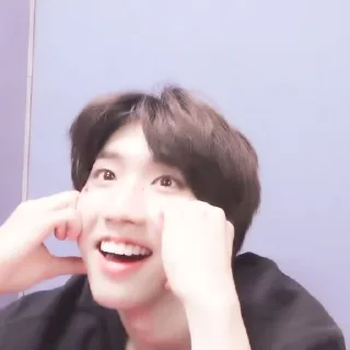 🐿 emoji ⋆  ̥ han jisung — @lilhyunjin Telegram sticker 5 of 45