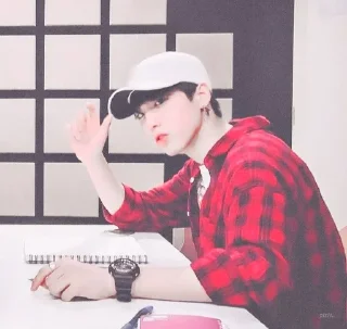 🐿 emoji ⋆  ̥ han jisung — @lilhyunjin Telegram sticker 19 of 45