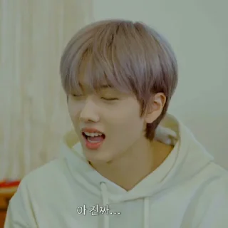 🐹 emoji PARK JISUNG V2 ⋆ @ARTHEAS Telegram sticker 13 of 120