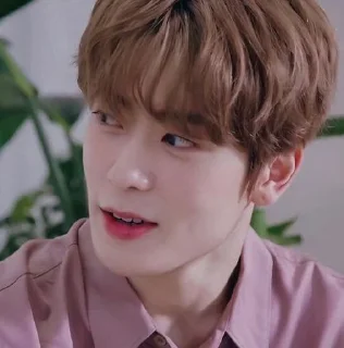 🦩 emoji jung jaehyun by @stickernct Telegram sticker 8 of 36