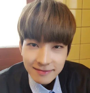 😊 emoji no context svt Telegram sticker 10 of 93