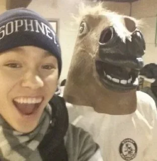 🐎 emoji no context svt Telegram sticker 16 of 93