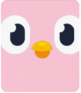 Sticker from Pink Duolingo 🩷