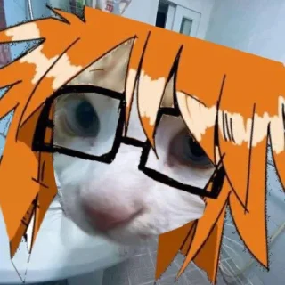 😺 emoji Randal awikwok 😲 Telegram sticker 3 of 45