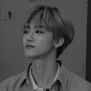 Sticker from — jαemin nct dαrk @randommateriall