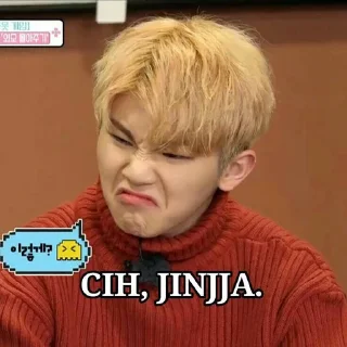 😈 emoji Meme KPop idol /menggabut Telegram sticker 22 of 40