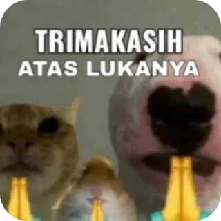 🐱 emoji andalan Telegram sticker 9 of 42