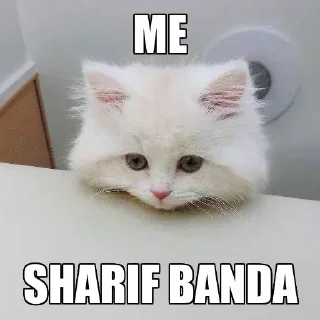 🥺 emoji Aarav @Aara_v ooops Telegram sticker 11 of 61