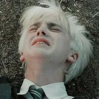 🐍 emoji Draco malfoy Telegram sticker 8 of 106