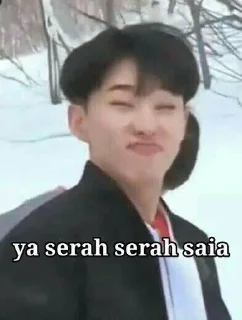😈 emoji Meme KPop idol /menggabut Telegram sticker 18 of 40