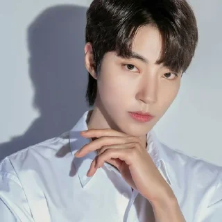 🪁 emoji Hwang inyeop by @Delvynaa Telegram sticker 10 of 17
