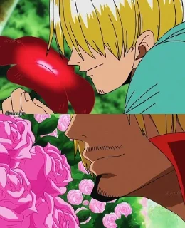 🌟 emoji Manjisamaa/sanji Telegram sticker 11 of 20