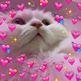 🥰 emoji MemeXPro Vol.3 : Republic of Meme Telegram sticker 18 of 120