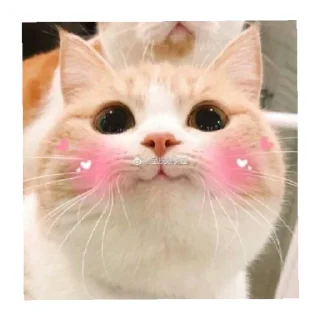 😄 emoji ♥️♥️ Telegram sticker 12 of 27