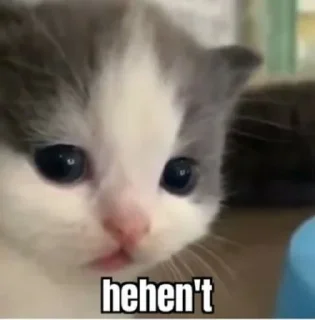 😺 emoji miw meme :: @kozume_chiya Telegram sticker 3 of 35