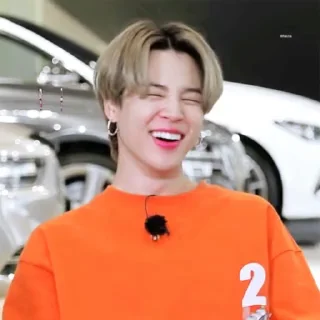 ❄️ emoji Jiminiums @vincent_vang Telegram sticker 9 of 50
