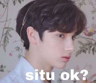 😈 emoji Meme KPop idol /menggabut Telegram sticker 16 of 40