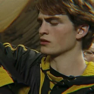 🦝 emoji Cedric Diggory @alohom0ra Telegram sticker 14 of 24