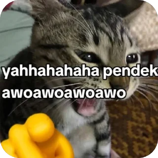 🫥 emoji pepek Telegram sticker 8 of 21