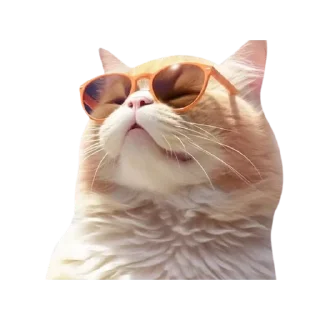 😎 emoji JBot's Stickers   @unofficial_telegramBD Telegram sticker 13 of 58
