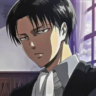 Levi @Hanim1O sticker preview 4
