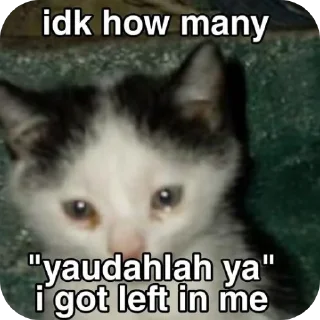 🐱 emoji sucks Telegram sticker 24 of 33