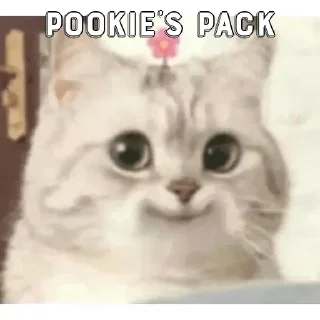 🙂 emoji Pookiee~°'s Sticker Pack (@Marin_ProxBot) Telegram sticker 10 of 44