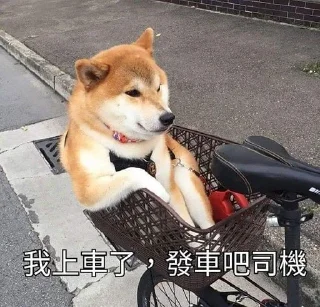 🐶 emoji なし Telegram sticker 19 of 59