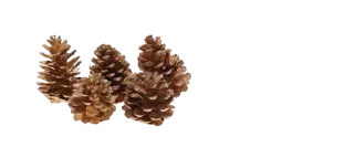 🪶 emoji Vintagic – @inmcjhome Telegram sticker 13 of 20