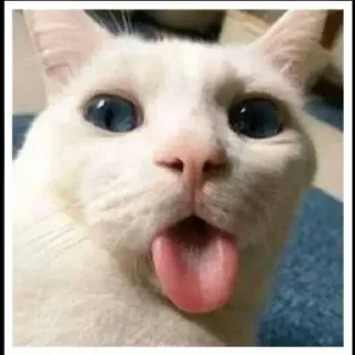 😝 emoji @GishanKrishka1's Pack 5 Telegram sticker 9 of 120