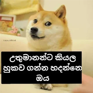 😎 emoji @GishanKrishka1's Pack 4 Telegram sticker 21 of 120