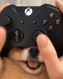 🎮 emoji 私は柴犬カフェの犬です vol. 5 Telegram sticker 23 of 37