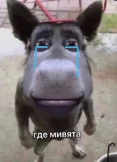 😭 emoji минви плачет Telegram sticker 8 of 67