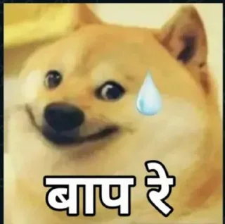🌟 emoji 🤣 @cricketyard Telegram sticker 6 of 50