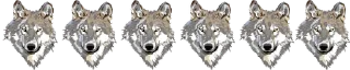 🐺 emoji Twifam Saga Telegram sticker 5 of 17